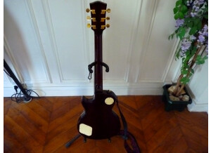 Richwood Guitars RE-125 (4160)