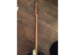 Peavey T-40 (39772)