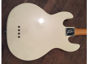 Peavey T-40 (16452)
