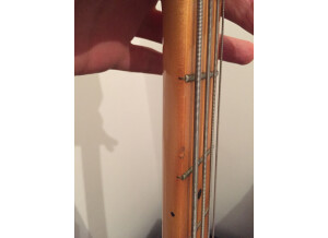 Peavey T-40 (35439)