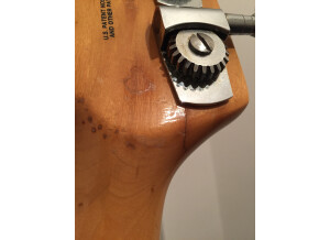Peavey T-40 (93427)