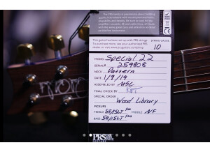 PRS Special Semi-Hollow Limited Edition