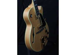 GB 10 Ibanez 2.JPG