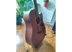 Ibanez AW5412CE (24352)