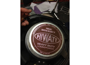 Hiwatt HP Fane