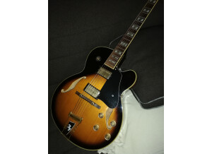 Ibanez AF120 (71994)