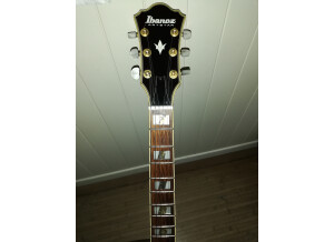 Ibanez AF120 (4413)