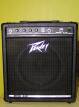 Peavey minx 110