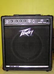 Peavey minx 110