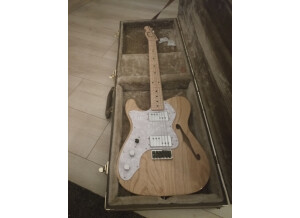 Fender Telecaster Thinline Japan (88149)