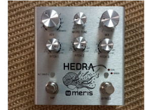 Meris Hedra (36733)
