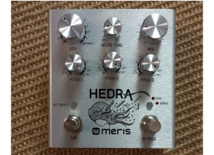 Meris Hedra (36733)