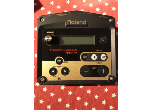 Roland TM-2 Trigger Module (95183)