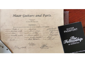 Haar Stratocaster (33689)