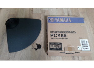 Yamaha PCY65
