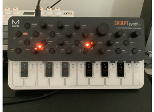 Modal Electronics SKULPTsynthSE (20117)