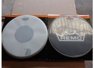 Snare 14 Remo coated