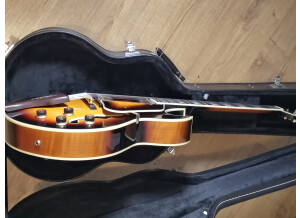 Ibanez GB30 (71011)