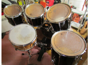 Pearl PEARL MLX ALL MAPLE SHELL