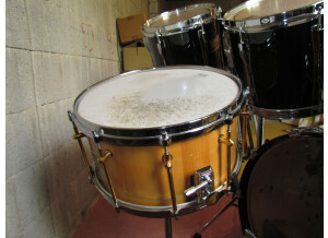 Pearl PEARL MLX ALL MAPLE SHELL