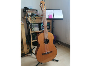 Elypse Guitars PM310