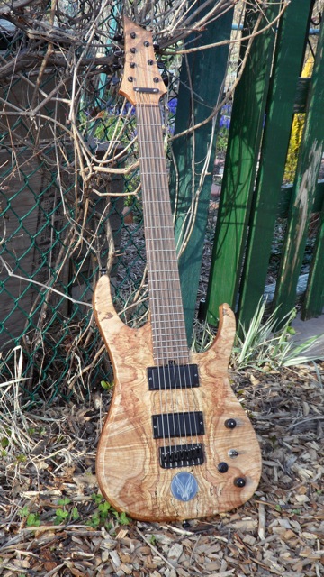 Hufschmid Guitars H7 Old Growth Spalted Maple top