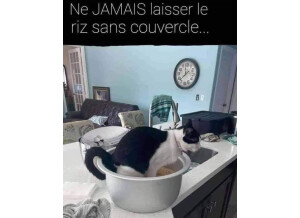 FB_IMG_1636804628066