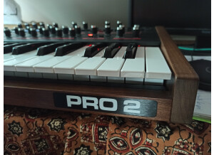 Dave Smith Instruments Pro 2 (53943)