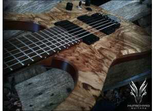 Hufschmid Guitars H7 Old Growth Spalted Maple top