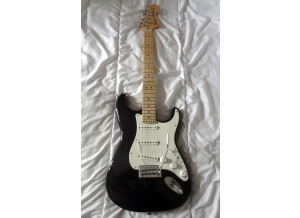 Fender Stratocaster Tex-Mex (29502)