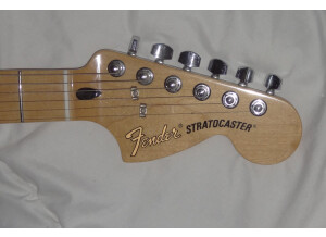 Fender Stratocaster Tex-Mex (66438)