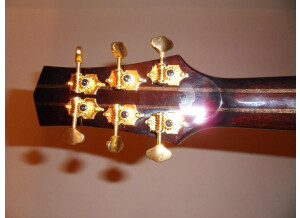Parker Guitars P8E (67513)