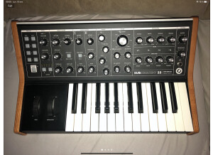 Moog Music Subsequent 25 (28975)