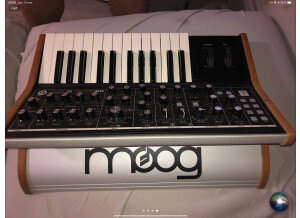 Moog Music Subsequent 25 (73712)
