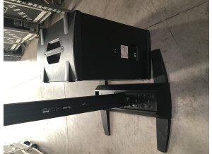 bose L1z