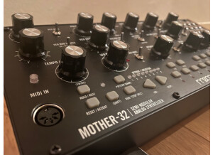 Moog Music Mother 32 (65858)