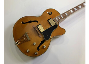 Epiphone Joe Pass Emperor II Pro (65852)