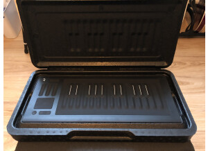 ROLI Seaboard Rise 25 (22415)