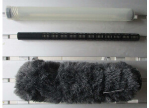 Capsule ME67 + Softie