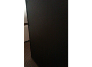 Framus Dragon 4X12 (9550)