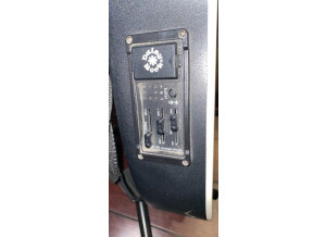 Daisy Rock acoustic electric parts