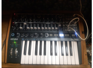 Arturia MiniBrute 2 (58572)