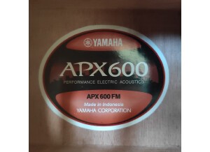 Yamaha APX600FM (43385)