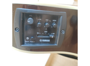 Yamaha APX600FM (9967)