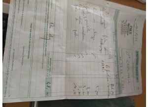 Tech 21 Blonde (9627)