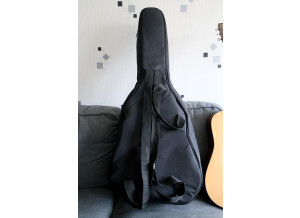 Martin & Co D Jr. Dreadnought Junior (25461)