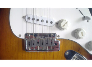 Squier Standard Stratocaster (65005)