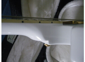 SR Guitars SRSG Origin Alpine White