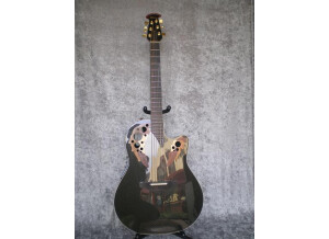 Adamas Guitars W597