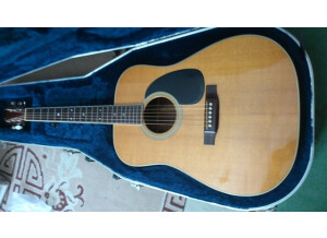 Martin & Co D-35 (53080)